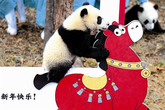 2025����������è����������´�