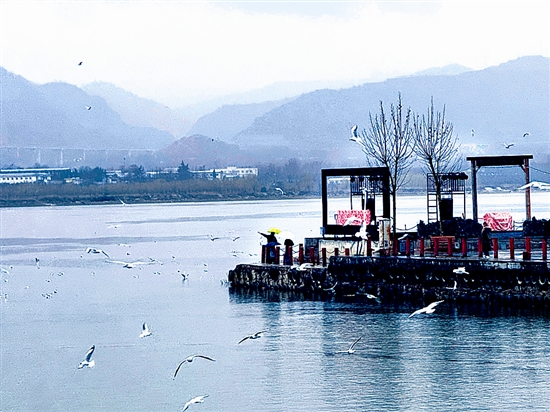 »ÆºÓ°¶±ß ÈË×í¡°»¡±ÖС±