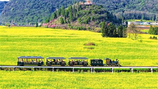 ����֮�� ���ⰻȻ