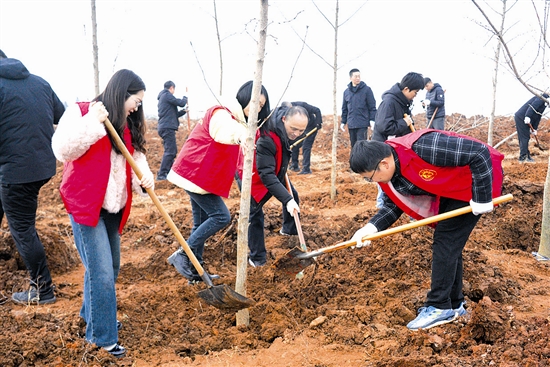 ������ɫϣ����