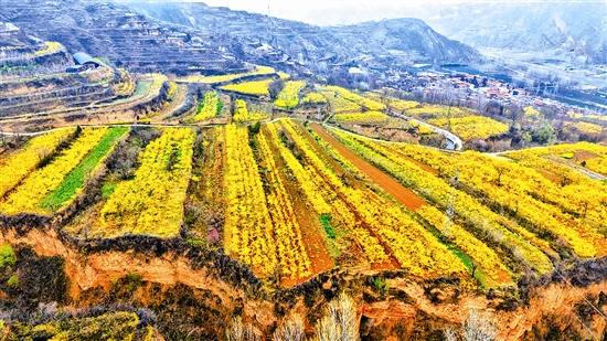 ���̻�������ɽ�𡱡�