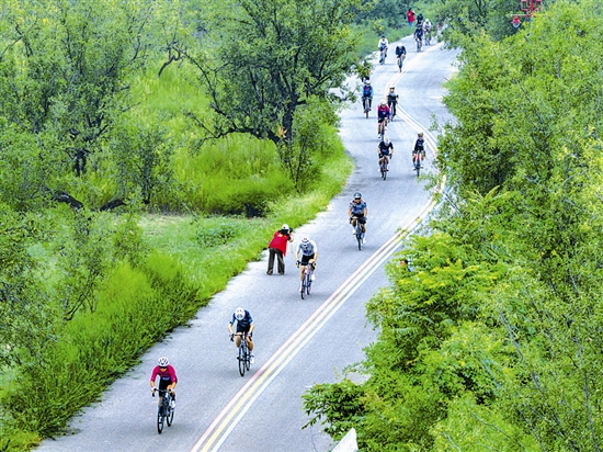 ���й����� ���������